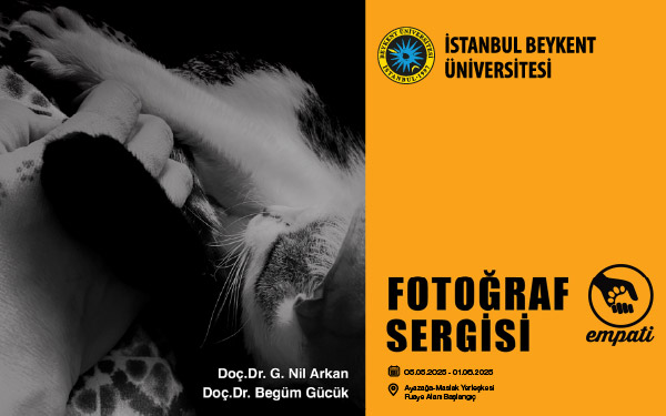Fotog╠åraf Galerisi Boyut_C╠ğal─▒s╠ğma Yu╠êzeyi 1 kopya 2